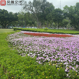 99视频国产精品
